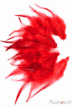 Gallo - 8-12 cm - rosso